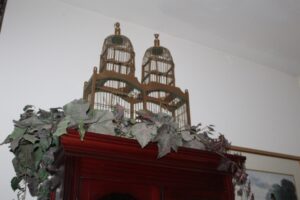 IMG_3759
