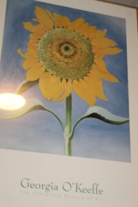 IMG_4100