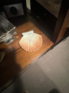 IMG_7984