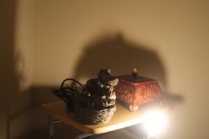 IMG_4453