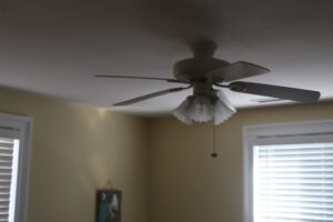 IMG_4631