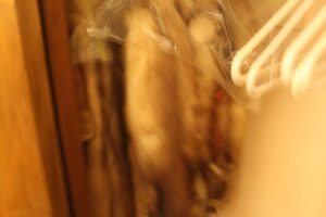IMG_4999