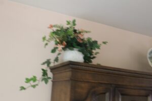 IMG_5040