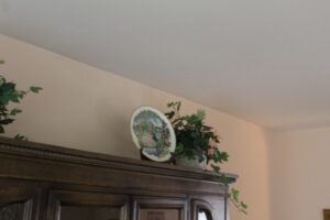 IMG_5041