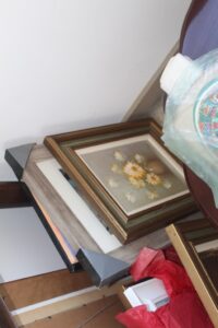 IMG_5220