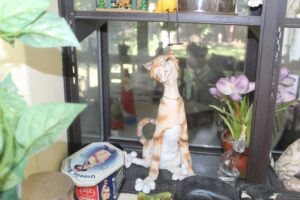 IMG_5539