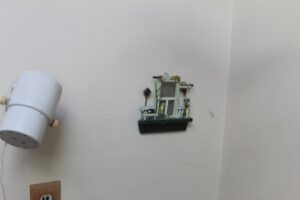 IMG_5551