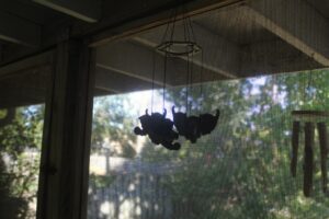 IMG_5613