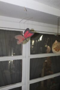 IMG_5618