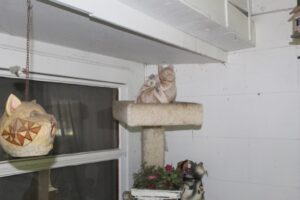 IMG_5622