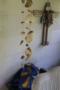 IMG_5627