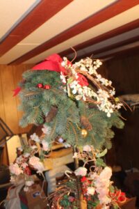IMG_5641