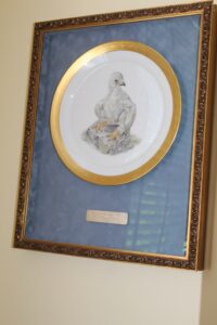 IMG_5982