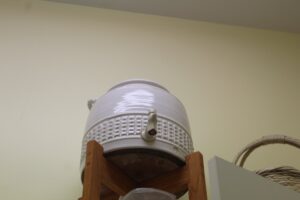 IMG_6029
