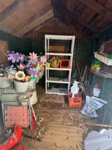 IMG_9665