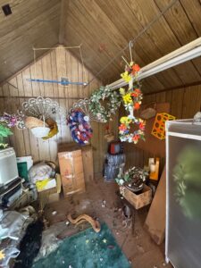 IMG_9667