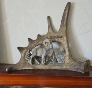 Alaska-Ram-Antler-Display