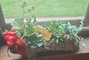 Artificial-Succulent-Driftwood-Arrangement