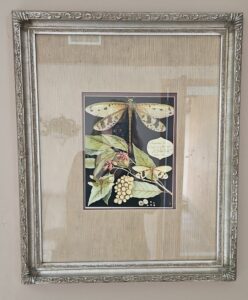 Dragonfly-Botanical-Print