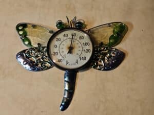 Dragonfly-Thermometer