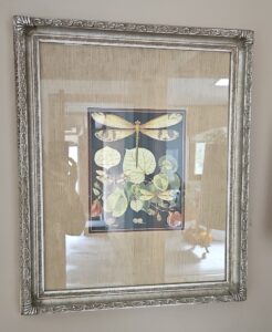 Framed-Insect-Print