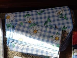 Set-of-Blue-Gingham-Daisy-Placemats-and-Napkins