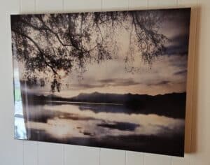 Tree-branches-over-lake-landscape