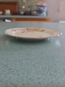 Crooksville-China-Floral-Plate-second-image