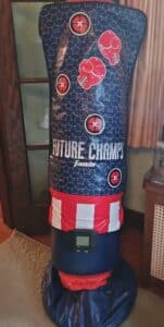 Franklin-Future-Champs-Electronic-Punching-Bag