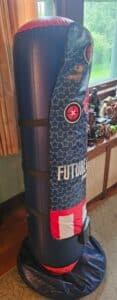 Franklin-Future-Champs-Electronic-Punching-Bag-second-image
