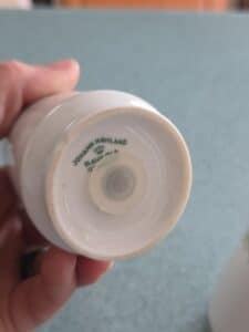 Johann-Haviland-Forever-Spring-Salt-and-Pepper-Shakers-third-image