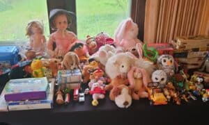 Mixed-Lot-Stuffed-Animals-Dolls-Model-Kits