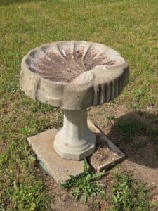 Scalloped-Concrete-Bird-Bath