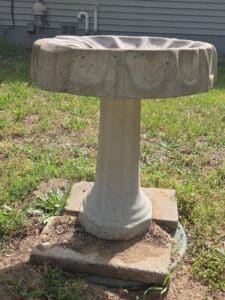 Scalloped-Concrete-Bird-Bath-third-image