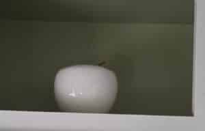 1000023356