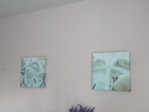 Coastal-Starfish-Canvas-Set