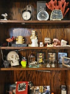 Curiosity-Cabinet-Collection