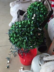Disney-Mickey-Mouse-Topiary-Tree-second-image