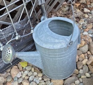 Galvanized-Watering-Can