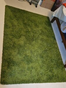 Green-Shag-Area-Rug