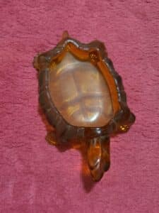 Amber-glass-turtle-dish-second-image