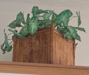 Faux-Bamboo-Planter-with-Syngonium