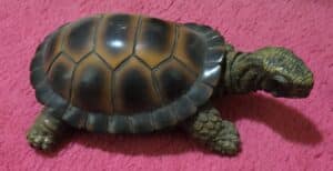 Realistic-Resin-Turtle-Figurine