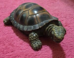 Realistic-Resin-Turtle-Figurine-second-image