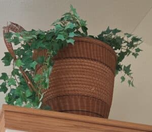 Woven-Basket-Planter