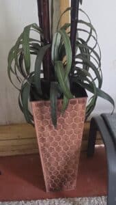 Artificial-Dracaena-Plant-in-Geometric-Planter-second-image