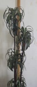 Artificial-Dracaena-Plant-in-Geometric-Planter-third-image