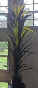 Artificial-Yucca-Tree
