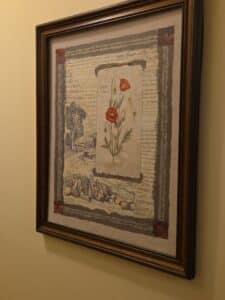 Botanical-Poppy-Collage-Art