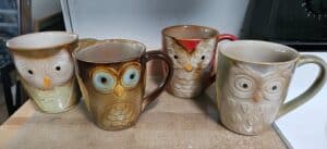 Gibson-Home-Owl-City-Ceramic-Mugs-1